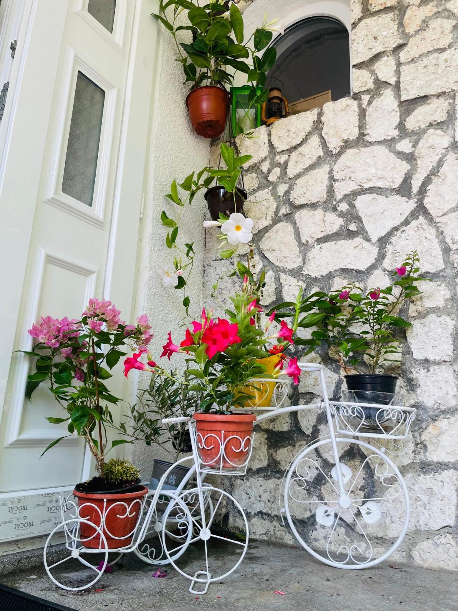 Guest House Blago Varna ภายนอก รูปภาพ